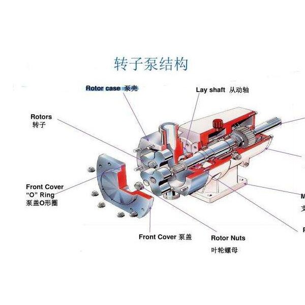 防伪标识与双转子泵结构图