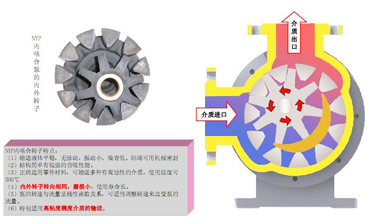 磁性材料与双转子泵结构图