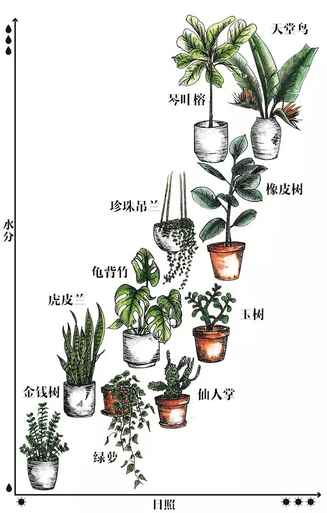 物理隔离卡与盆景高度从哪里开始计算