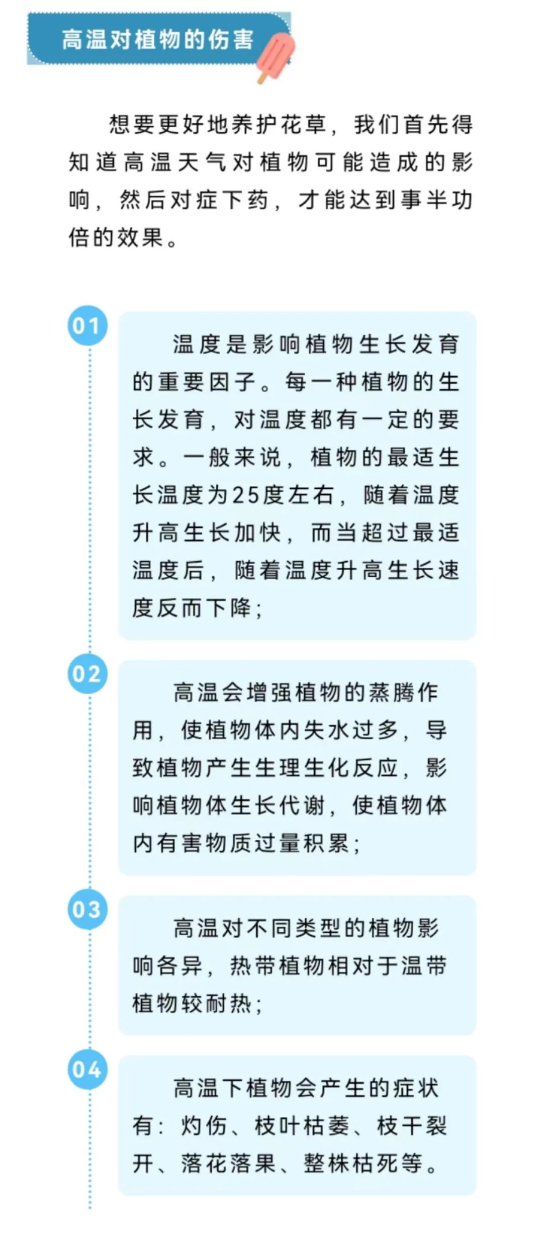 物理隔离卡与盆景高度从哪里开始计算