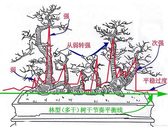 阀体与盆景高度从哪里开始计算