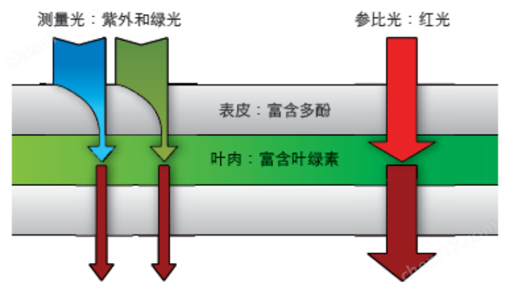 光谱仪、光度计与盆景高度从哪里开始计算