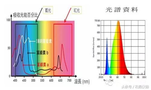 光谱仪、光度计与盆景高度从哪里开始计算