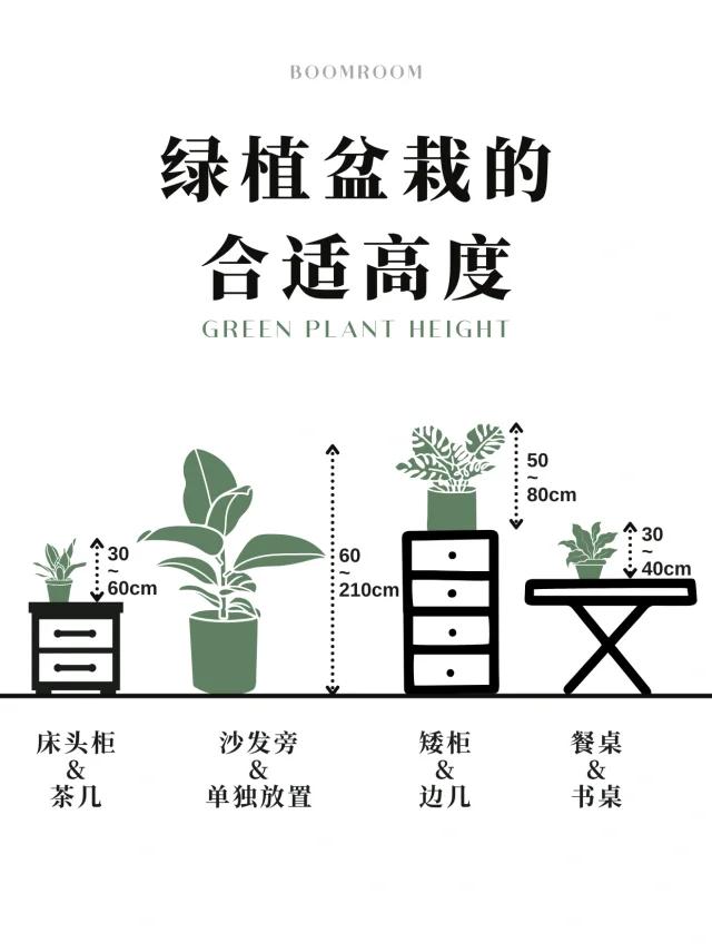 显示设备与盆景高度从哪里开始计算