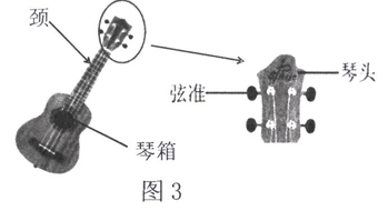 拉弦类乐器与打码机的用法