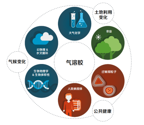 空气净化装置与动物胶和植物胶的关系