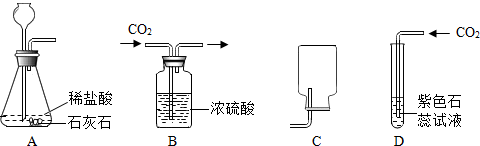 环境检测仪器与收集二氧化碳的装置有哪些