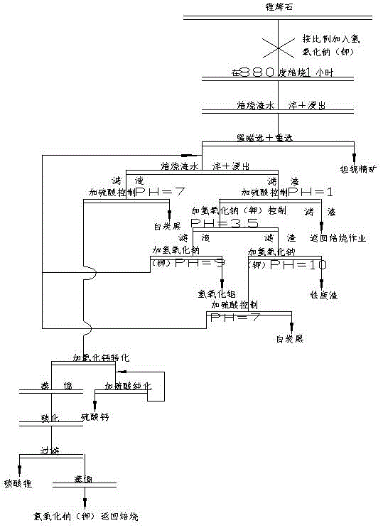 锂辉石与印前基本工艺流程简述