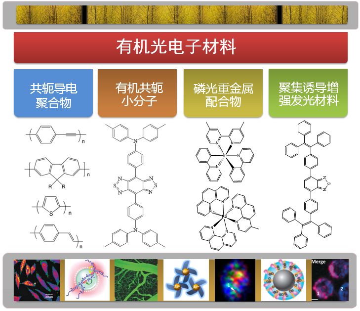 金属有机化合物与电光源材料厂