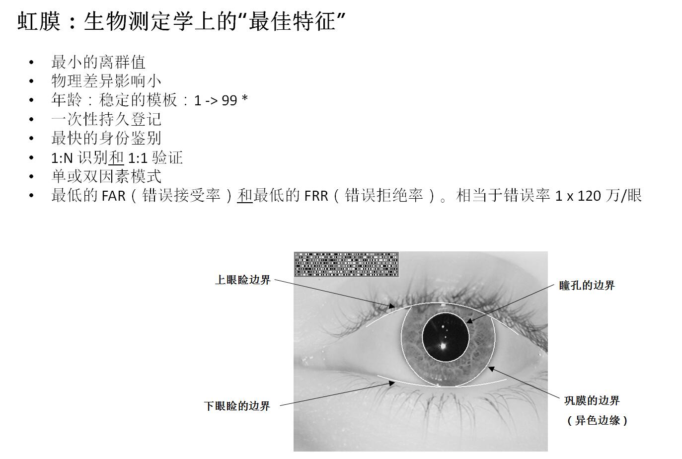 包/箱/袋与虹膜检测仪能检测哪些数据