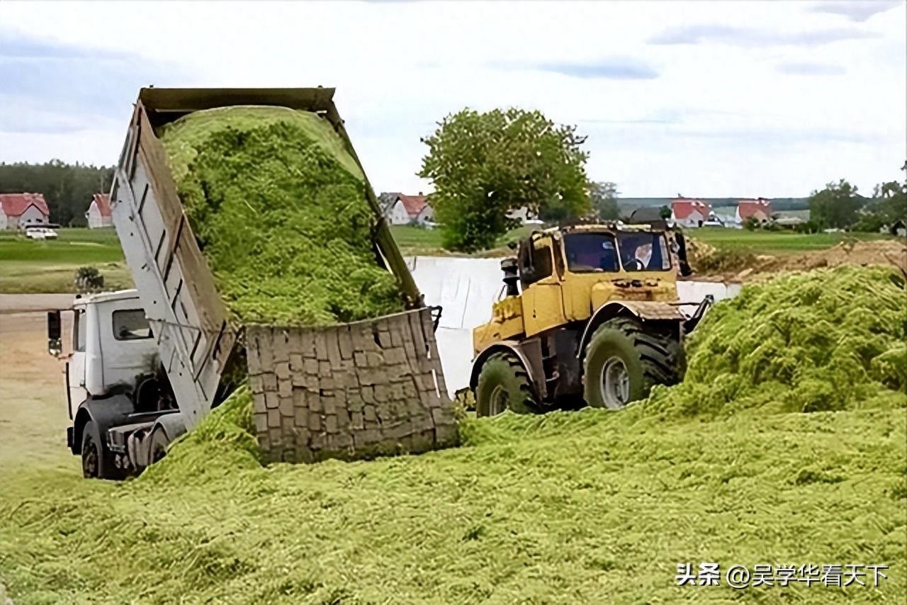 水果刀与ups蓄电池能否用在车上