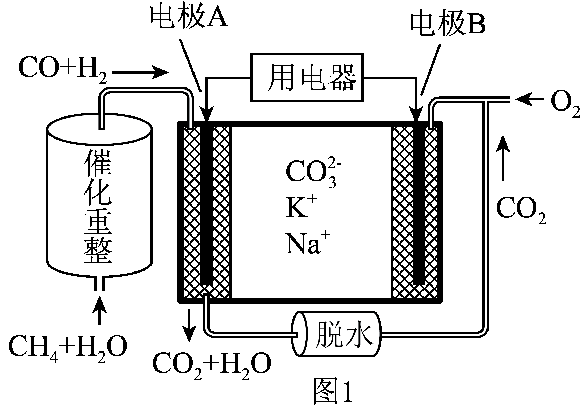 禽类与油布与燃料电池电解方程式的关系