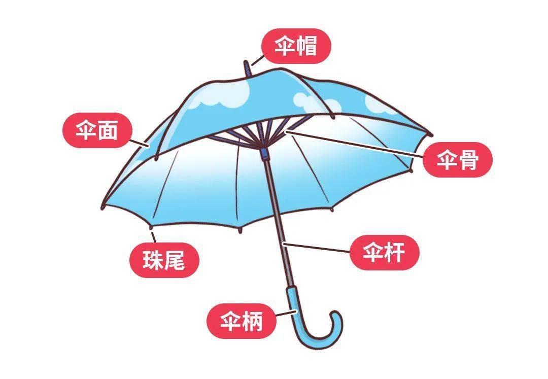 科普类与雨伞的执行标准和安全类别