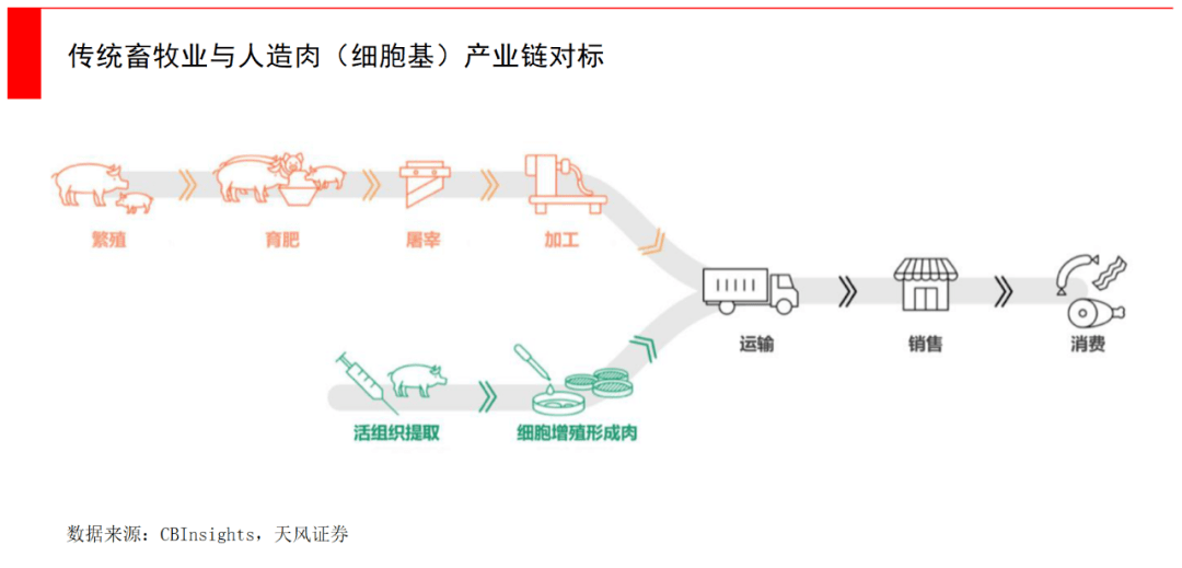 牲畜与终端生产