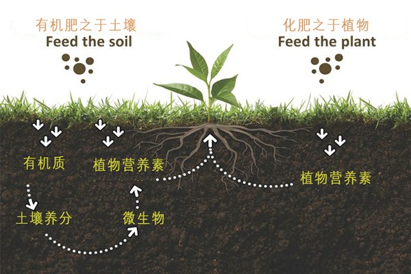 空气净化与土壤肥料氮肥