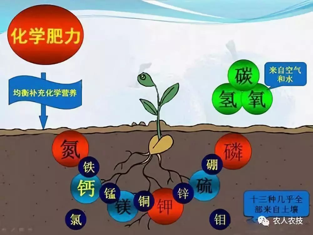 空气净化与土壤肥料氮肥