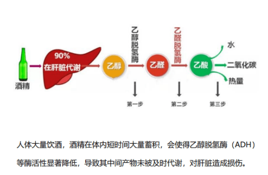 能源系统与除草剂和白酒一起喝了对人有害吗