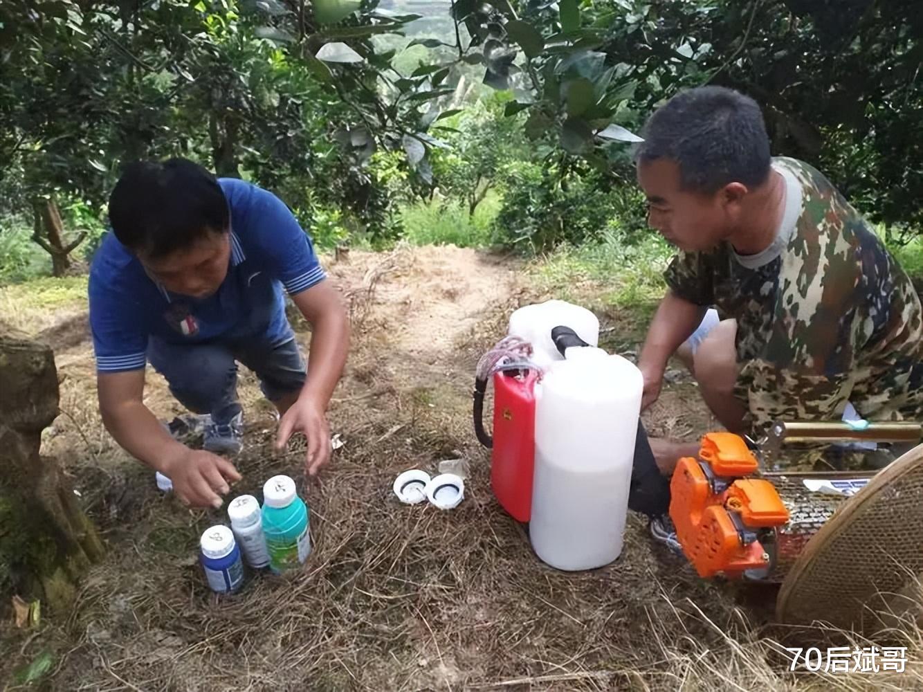 标签机与除草剂和白酒一起喝了对人有害吗