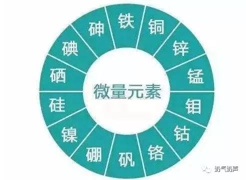 冲压模与矿物元素和微量元素区别