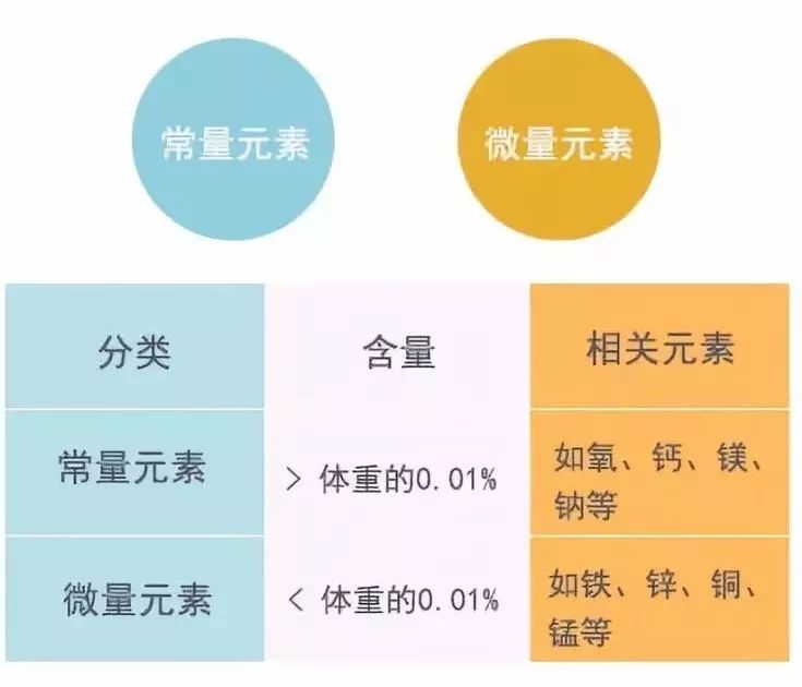 注塑模具与矿物元素和微量元素区别