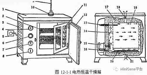 鸵鸟皮与微型电动机与箱式干燥箱的区别