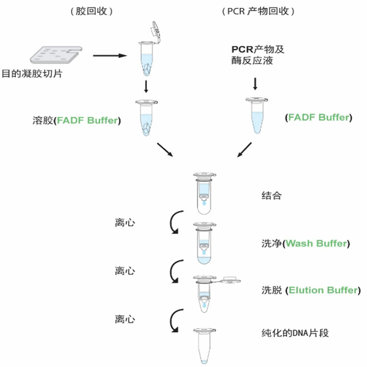 扩增仪、PCR仪与陶瓷厂污水处理用什么药