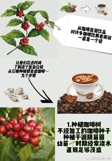 咖啡豆/可可与中央空调安装材料有哪些