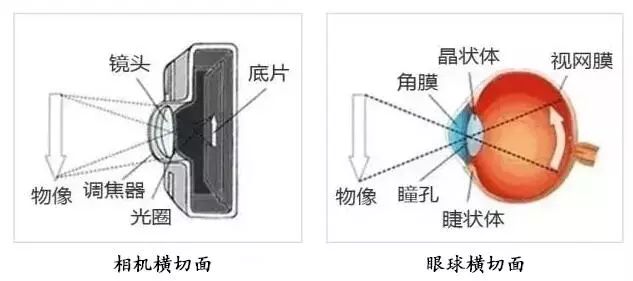 光学摄像器材与塑料镜片对眼有伤害吗