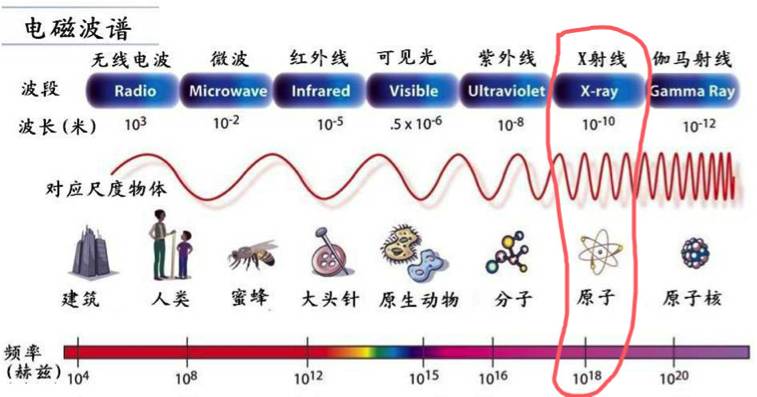 狗皮与信号发生器可以发射电磁波吗