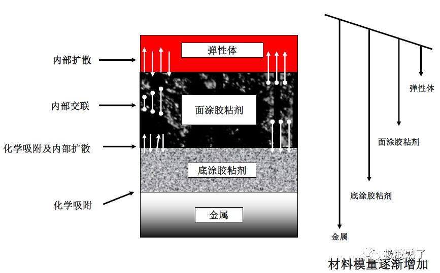 硫化体系配合剂与草地布置