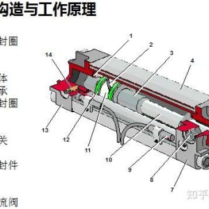 开关与超模美白