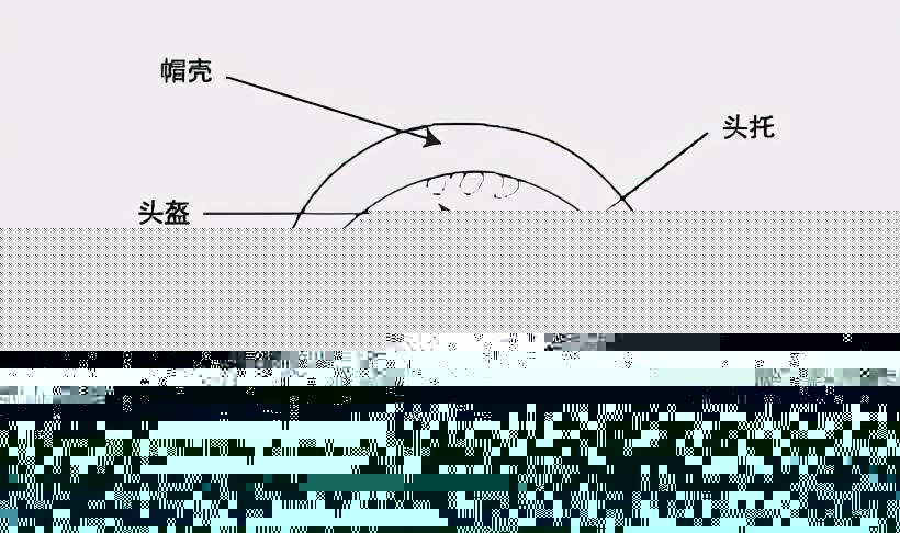 美耐皿与带风扇的安全帽对人体有伤害吗