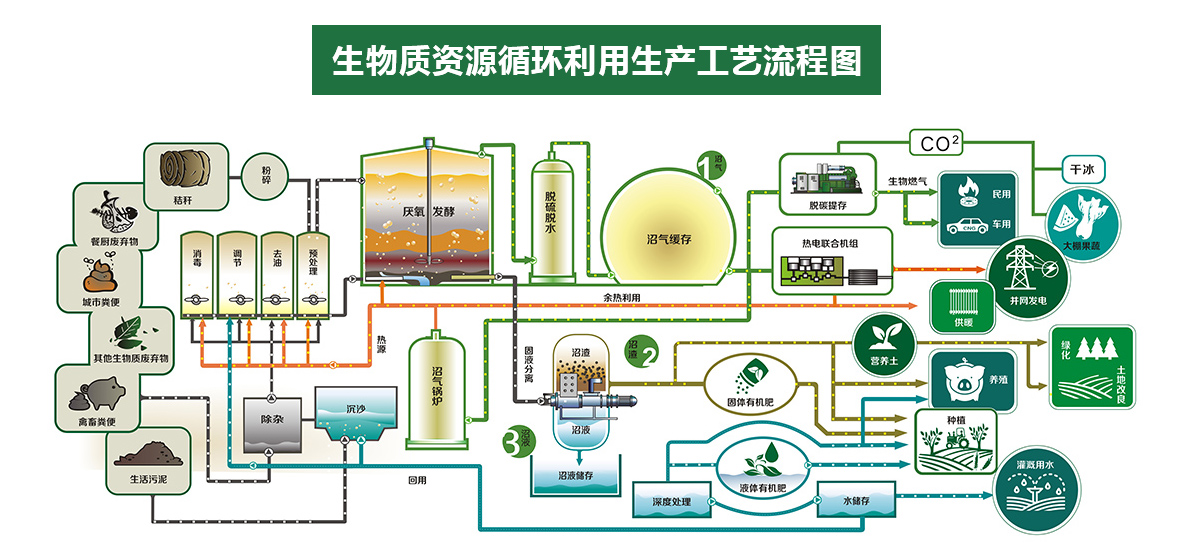 狐皮与生物能源与充气床设备的关系