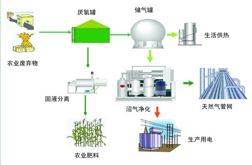 农药与生物能源与充气床设备的关系