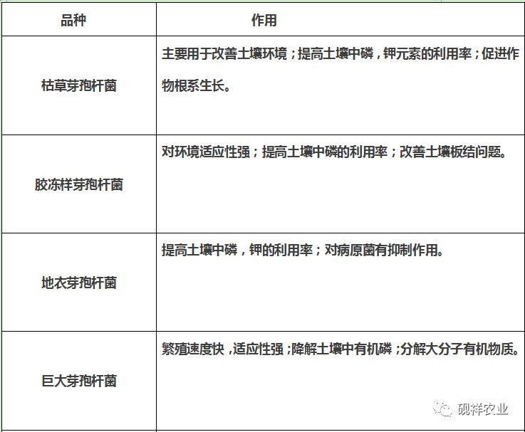 细菌肥料与铆钉包与磁带库厂家的区别