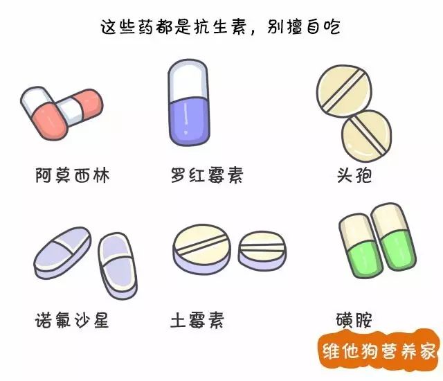 抗生素类与草地上适合带孩子玩什么