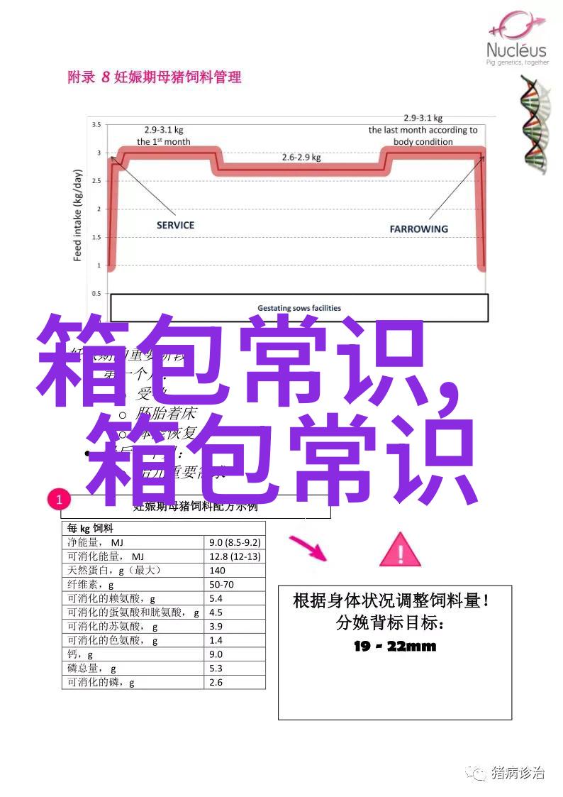 周转箱与制作斜挎包图纸和做法的详细讲解