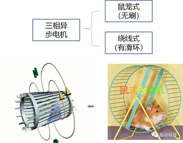 电子宠物与发酵罐与同步电机,异步电机哪个好