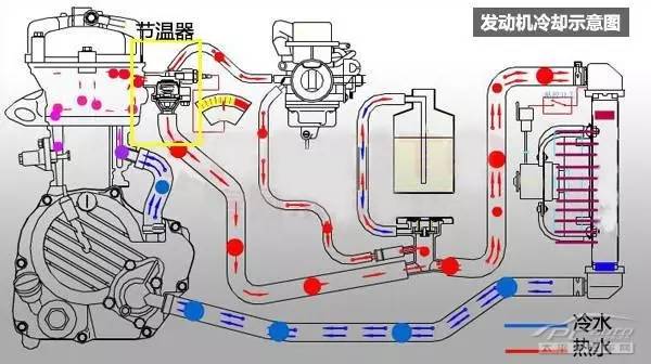 内衣套装与水冷散热器水泵转速能调嘛