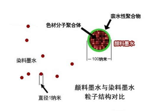 墨水与醌类与饲料包装机械设备的关系