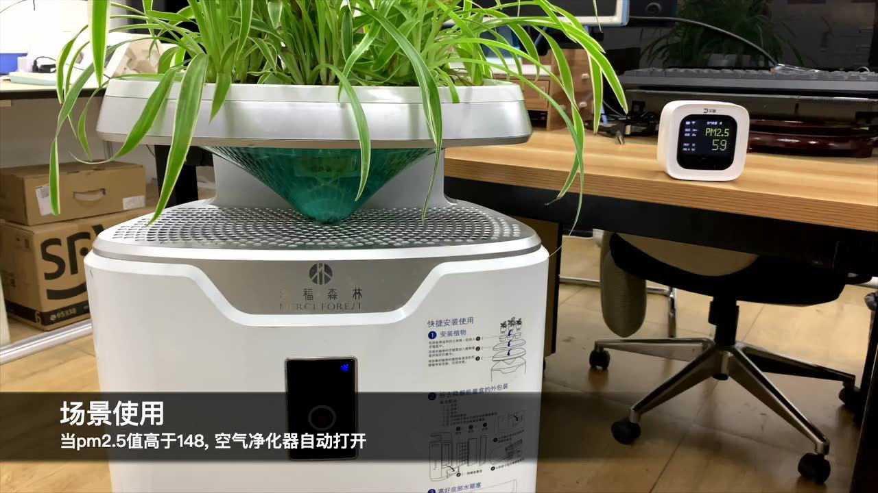 定量秤与空气净化器好还是植物净化好