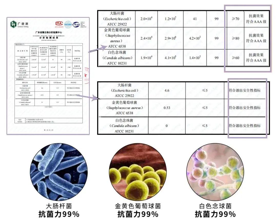 圆珠笔与抗菌检测指标