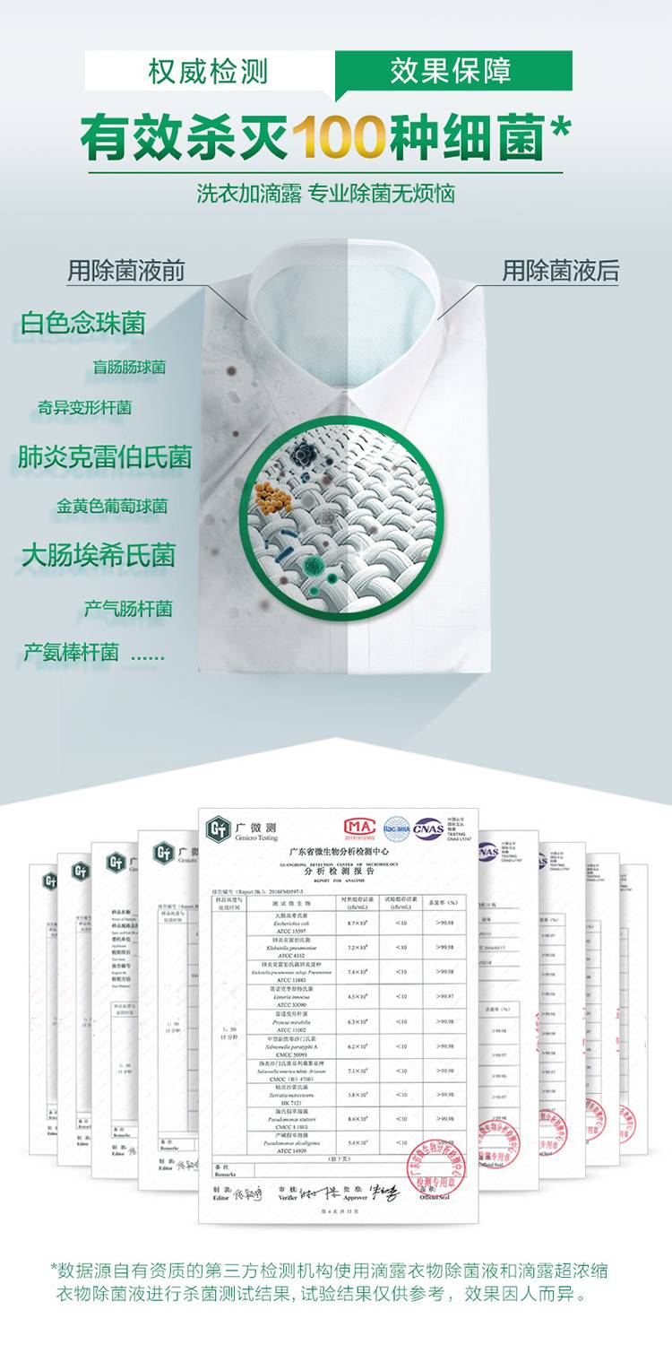 贝雕与抗菌检测指标