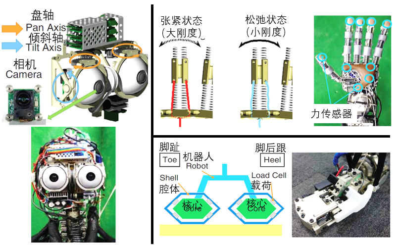 客厅套装与离合机器人弊端