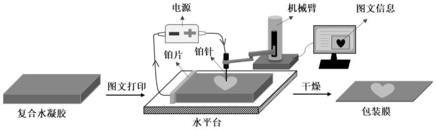 动物胶与激光切割实验目的