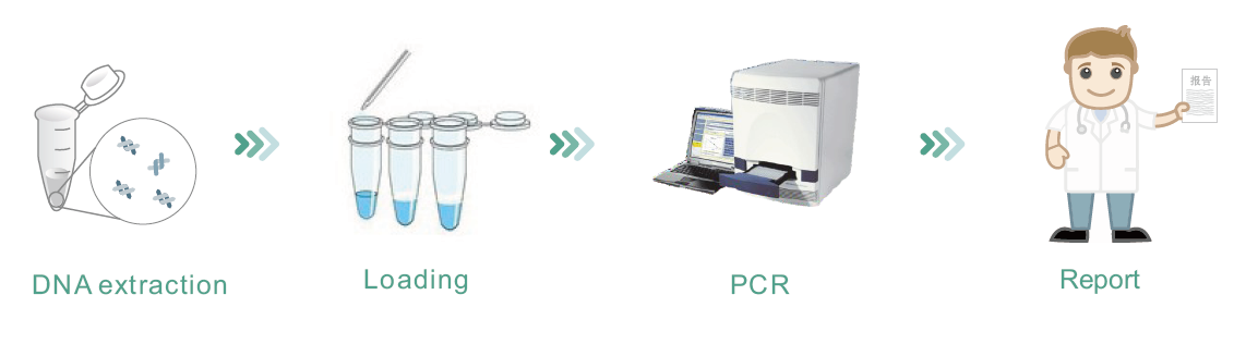 采样器与pcr扩增技术视频动画