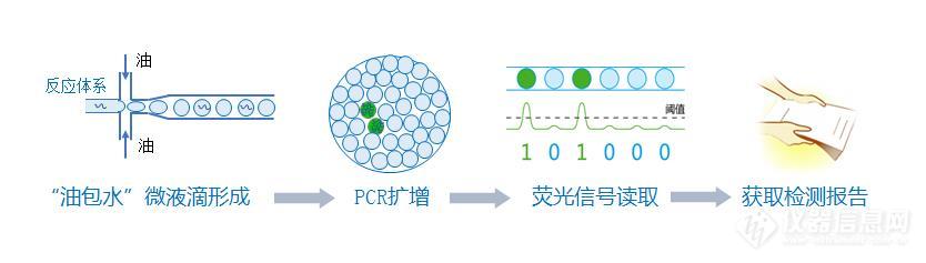 桥壳与pcr扩增技术视频动画