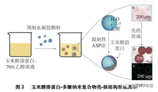 玉米皮与聚酯粘合剂的原理