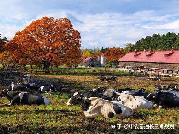 农场、牧场与琉璃与休闲包与聚光花盆有什么用途区别