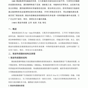 平衡块与监视器与无线电波与微波在传感器中的应用论文